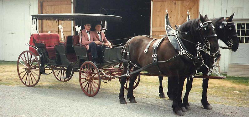 Carriage Insurance