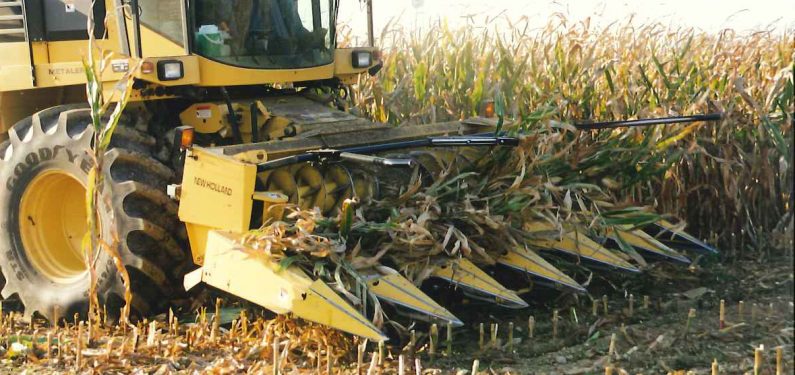 crop insurance - forage harvestor crop insurance