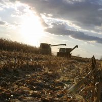 precision agriculture - combine crop insurance