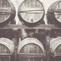 crop coverage - vineyard Winery Insurance