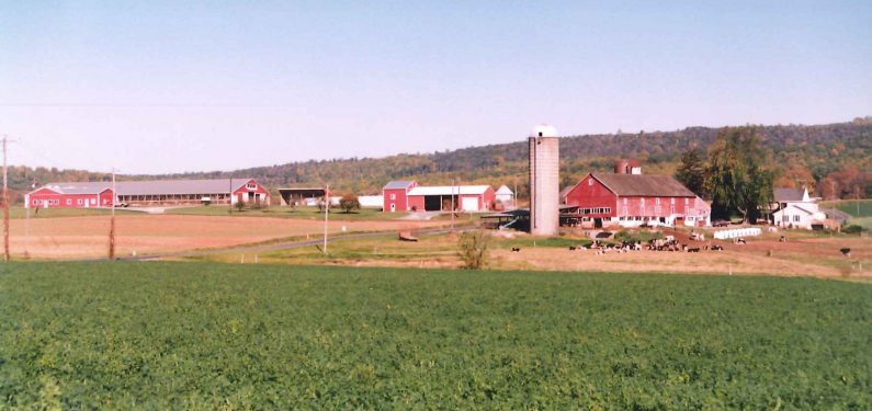 farm bill - dairy farm