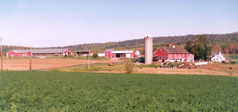 farm bill - dairy farm