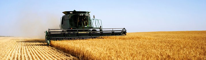 field-crop-insurance