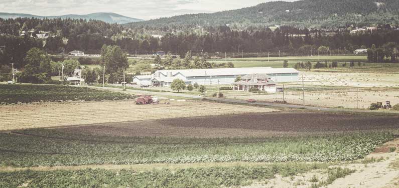 Field Crop Vegetable Insurance