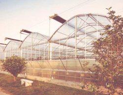 Greenhouse Nursery Insurance