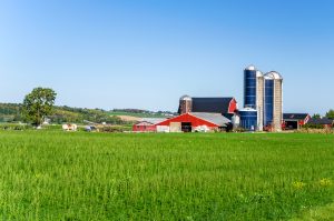 agri-business terms - farm