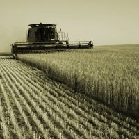 crop insurance coverage