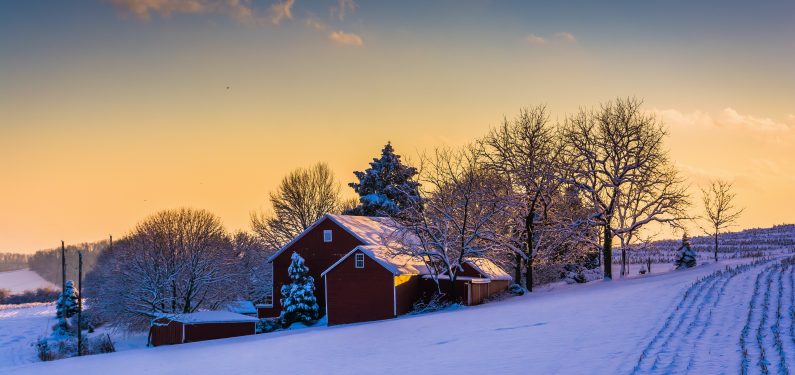 snow damage - rural farm covered in snow