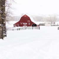 snow load - red bard covered in snow