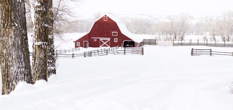 snow load - red bard covered in snow