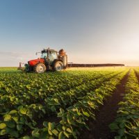 tractor in a soybean field at sunset