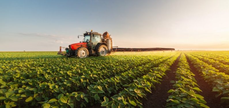 tractor in a soybean field at sunset