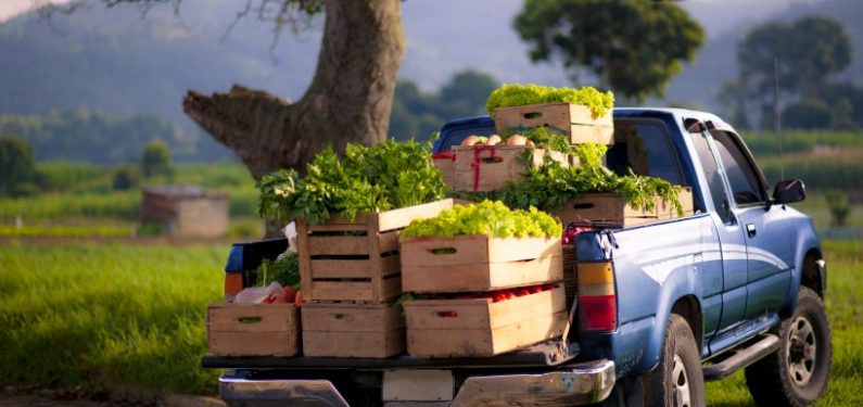 blue pickup truck with crates of vegetables in the bed