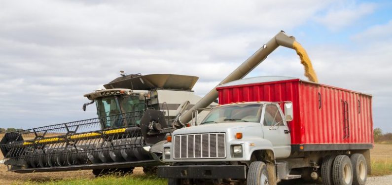 harvester and farm truck in a field