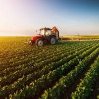 red tractor in a soybean field