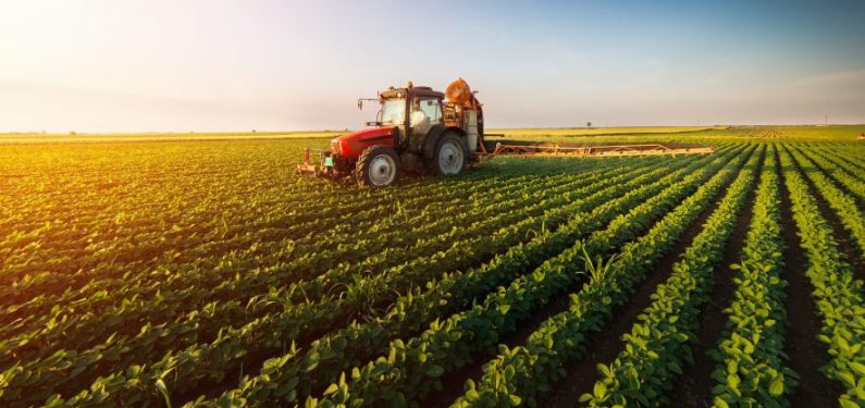 red tractor in a soybean field