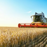 combine harvester in a field