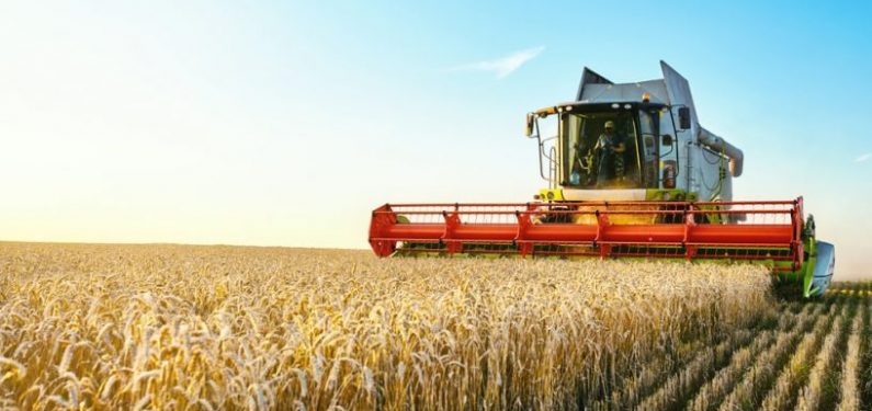 combine harvester in a field