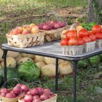 roadside stand - various types of produce on a table