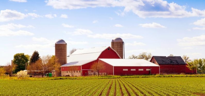 farm with big red barn and two grain silos