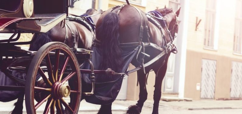 two horses pulling a carriage on a roadway