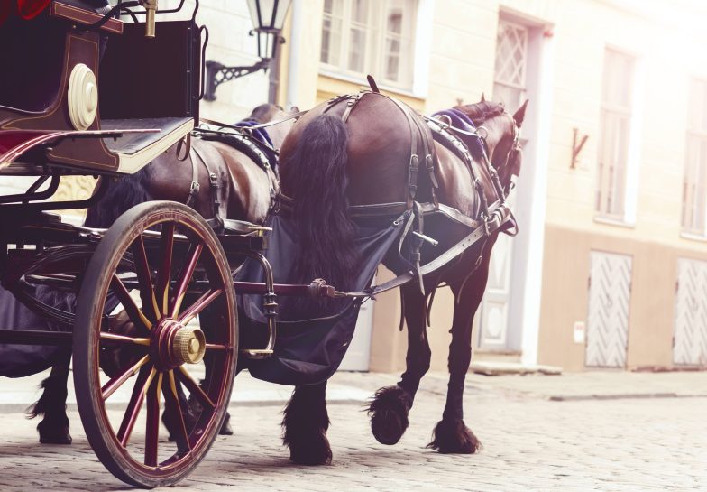 Do HorseDrawn Carriages Require Insurance to Operate on Roadways?
