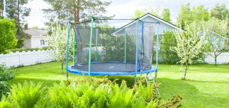 blue trampoline in a backyard with a garden