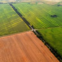 aerial view of plots of agricultural land in the summer for rented land concept