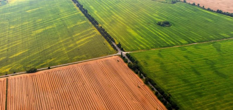 aerial view of plots of agricultural land in the summer for rented land concept