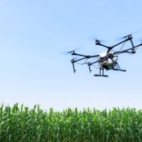 farm drone flying towards field of corn against a blue sky